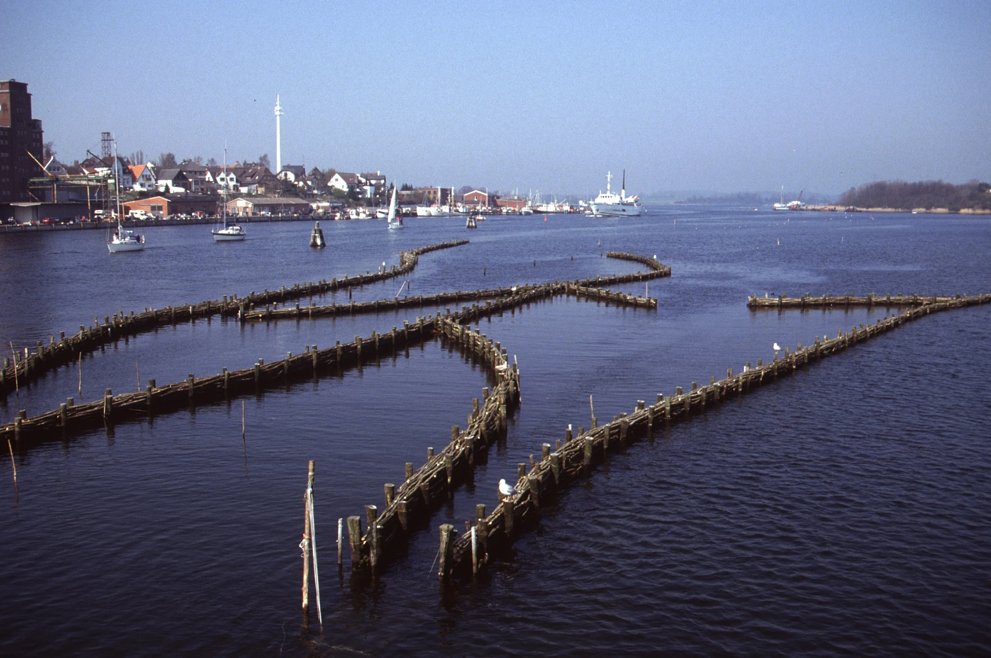 Converging arms of the Kappeln herring fence, photographed in 1991